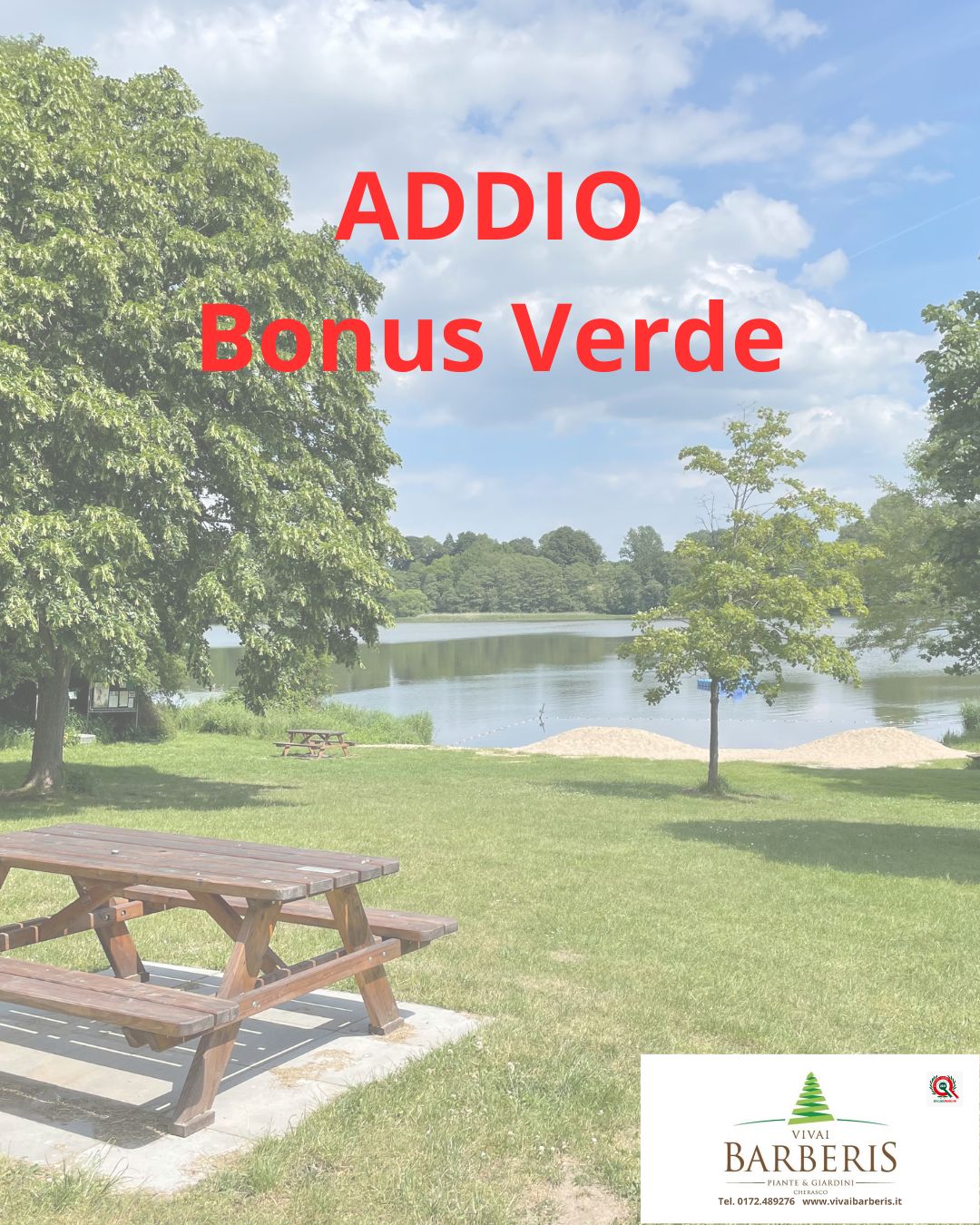 ADDIO Bonus Verde